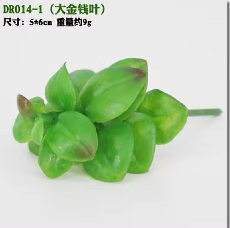 Meaty Plant Simulation Single Meaty Plant Potted Plant Fittings Simulation Bonsai Landscape