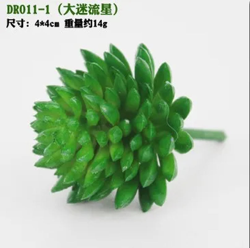 Meaty Plant Simulation Single Meaty Plant Potted Plant Fittings Simulation Bonsai Landscape