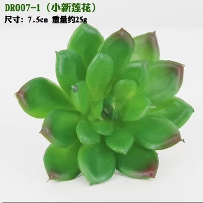 Meaty Plant Simulation Single Meaty Plant Potted Plant Fittings Simulation Bonsai Landscape