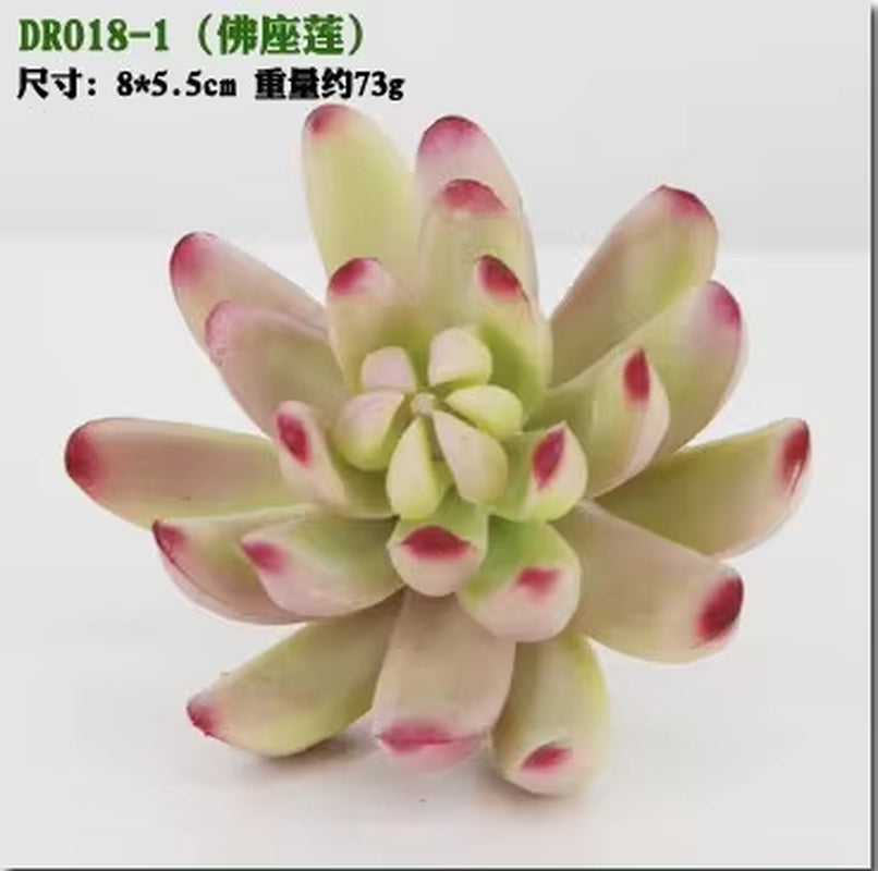 Meaty Plant Simulation Single Meaty Plant Potted Plant Fittings Simulation Bonsai Landscape