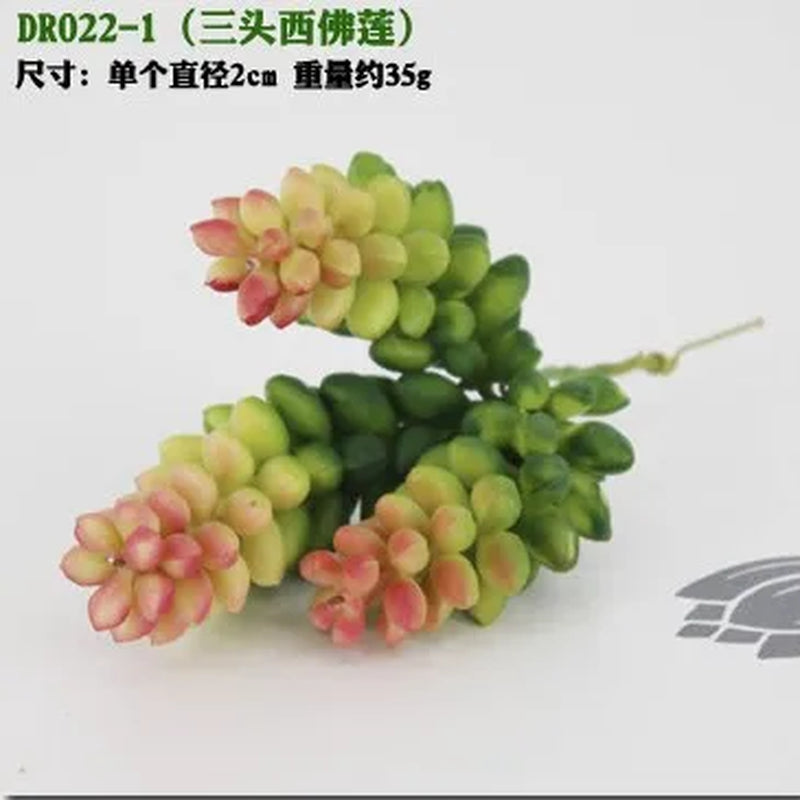 Meaty Plant Simulation Single Meaty Plant Potted Plant Fittings Simulation Bonsai Landscape