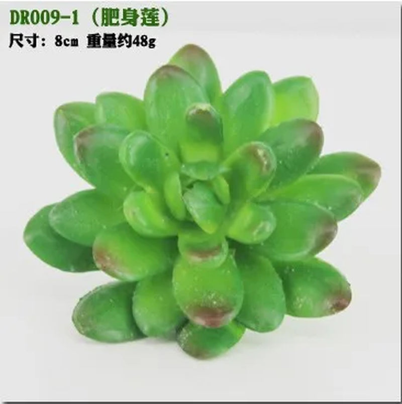 Meaty Plant Simulation Single Meaty Plant Potted Plant Fittings Simulation Bonsai Landscape