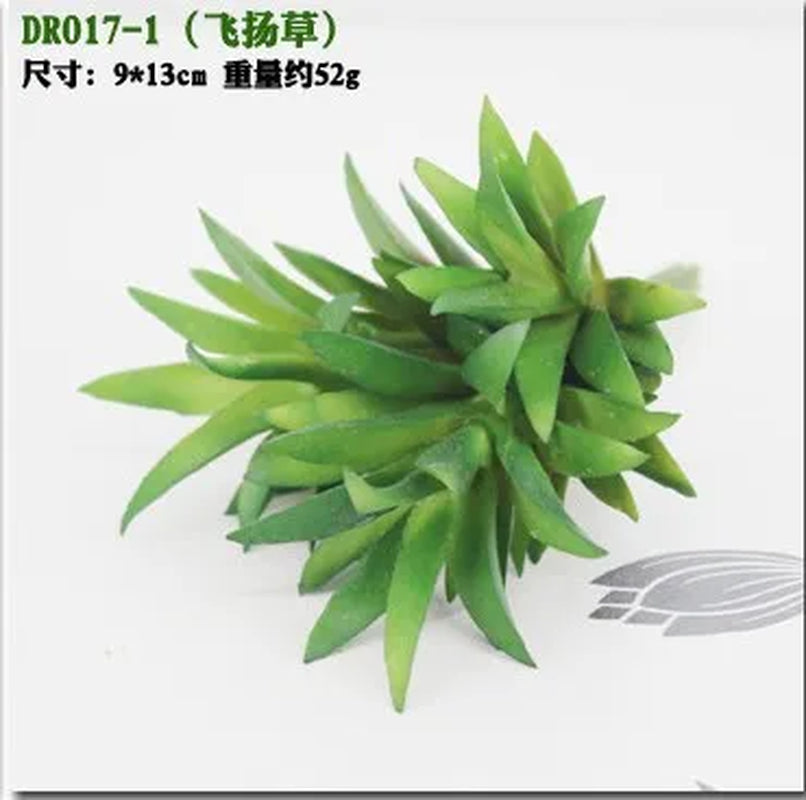 Meaty Plant Simulation Single Meaty Plant Potted Plant Fittings Simulation Bonsai Landscape