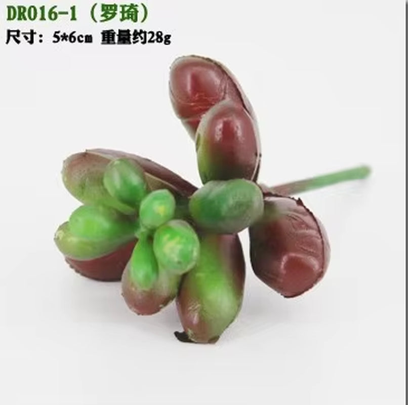 Meaty Plant Simulation Single Meaty Plant Potted Plant Fittings Simulation Bonsai Landscape