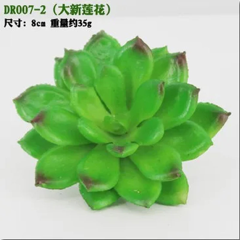 Meaty Plant Simulation Single Meaty Plant Potted Plant Fittings Simulation Bonsai Landscape