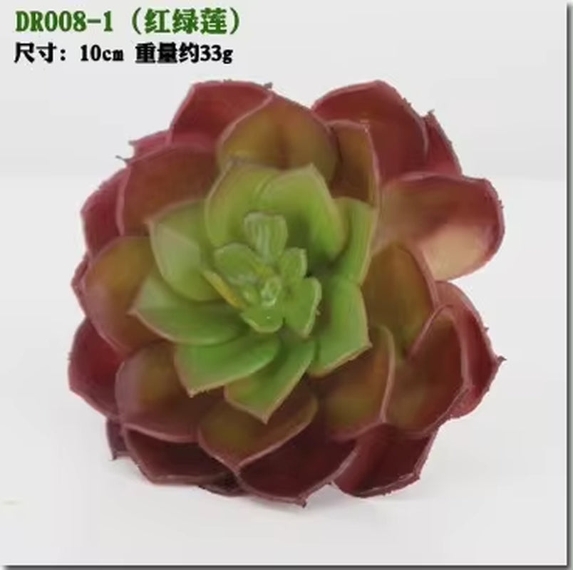 Meaty Plant Simulation Single Meaty Plant Potted Plant Fittings Simulation Bonsai Landscape