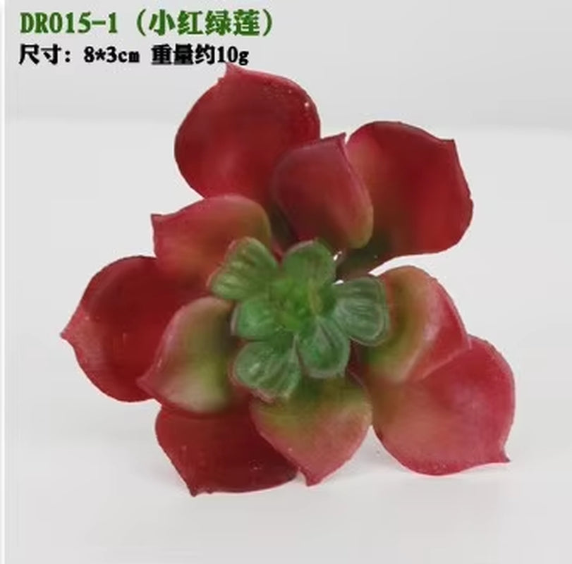 Meaty Plant Simulation Single Meaty Plant Potted Plant Fittings Simulation Bonsai Landscape