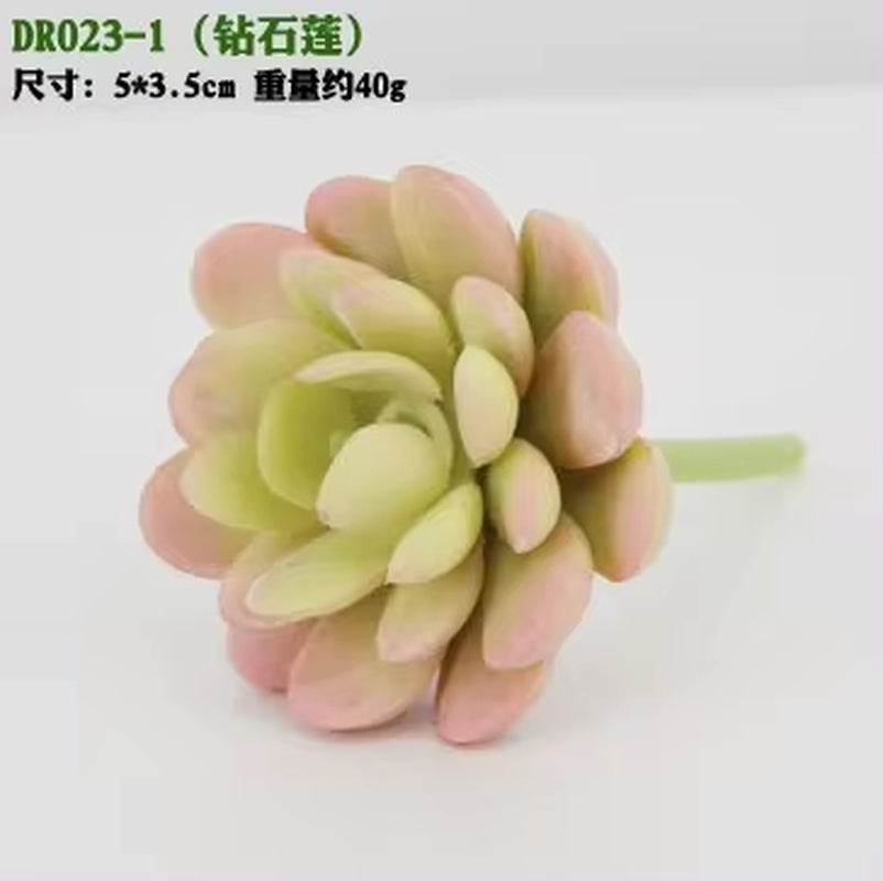 Meaty Plant Simulation Single Meaty Plant Potted Plant Fittings Simulation Bonsai Landscape