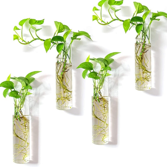 Wall Hanging Plant Terrarium Propagation Station Glass Planter for Home Office Decor, Large Cylinder Vase, 4 Pack