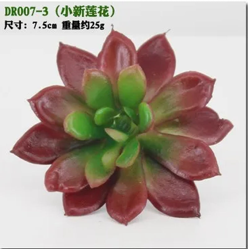 Meaty Plant Simulation Single Meaty Plant Potted Plant Fittings Simulation Bonsai Landscape